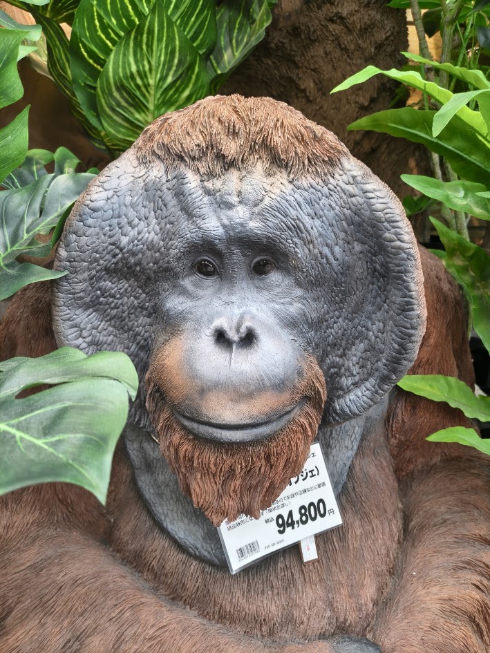 https://www.smile0136.com/blog/%E3%81%A9%E3%81%93%E3%81%AB%E7%BD%AE%E3%81%8F.jpg