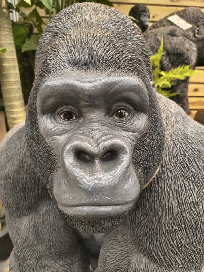https://www.smile0136.com/blog/%E3%82%B4%E3%83%AA%E3%83%A9.jpg