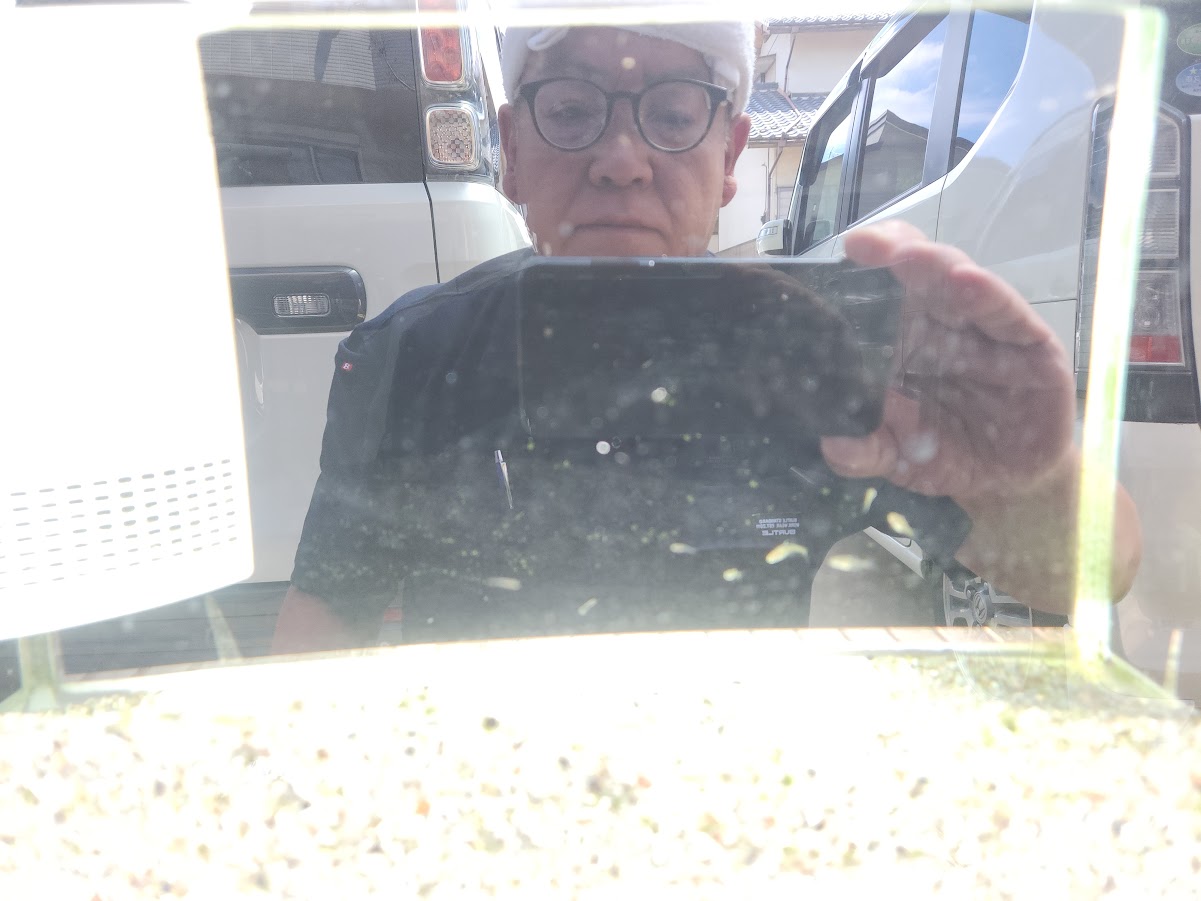 https://www.smile0136.com/blog/%E3%82%BF%E3%83%8A%E3%82%B4%EF%BC%91%EF%BC%91%E5%8C%B9.jpg