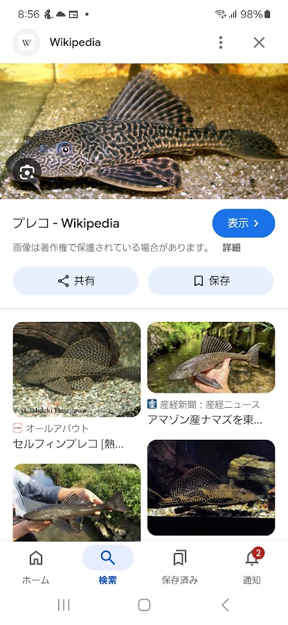 https://www.smile0136.com/blog/%E3%83%97%E3%83%AC%E3%82%B3.jpg