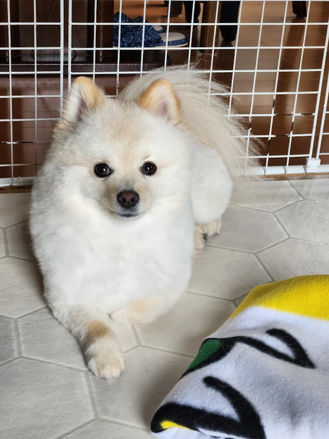 https://www.smile0136.com/blog/%E3%83%9F%E3%83%AB%E3%82%AF.jpg