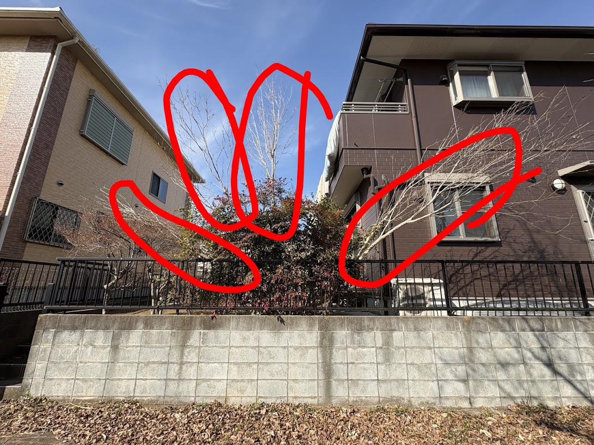 https://www.smile0136.com/blog/%E6%A4%8D%E6%9C%A8%E3%81%AE%E6%92%A4%E5%8E%BB.jpg