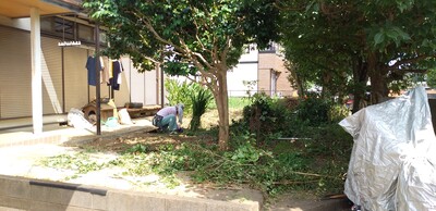 DSC_0050.jpg