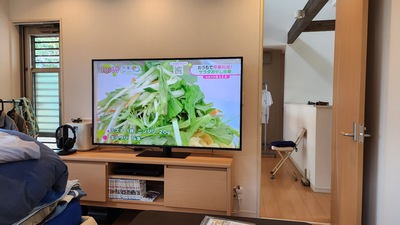 65.jpg