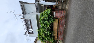 金子邸手摺.jpg