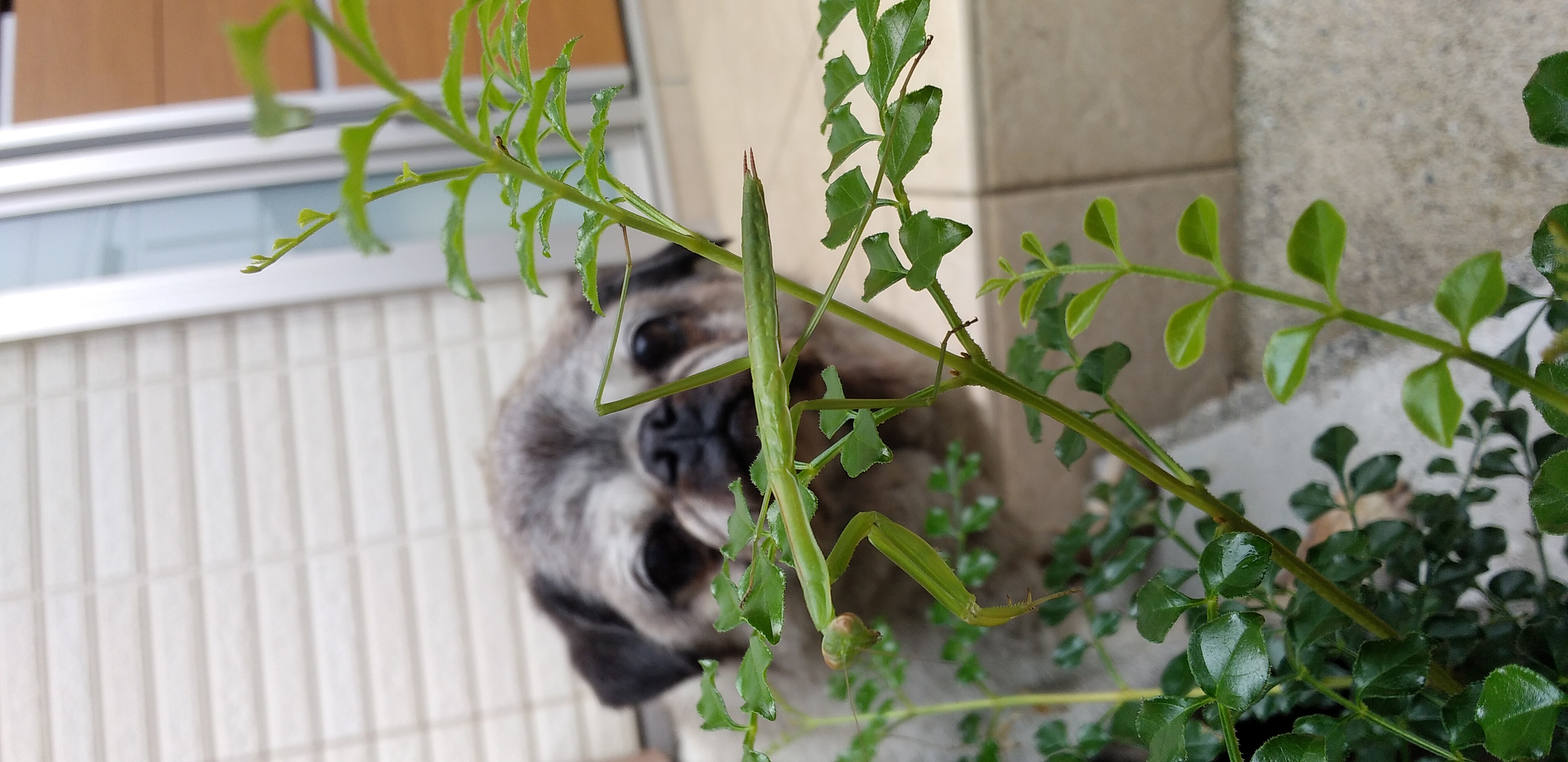 https://www.smile0136.com/blog_results/%E3%81%8B%E3%81%BE%E3%81%8D%E3%82%8A%E7%99%BB%E5%A0%B4.jpg