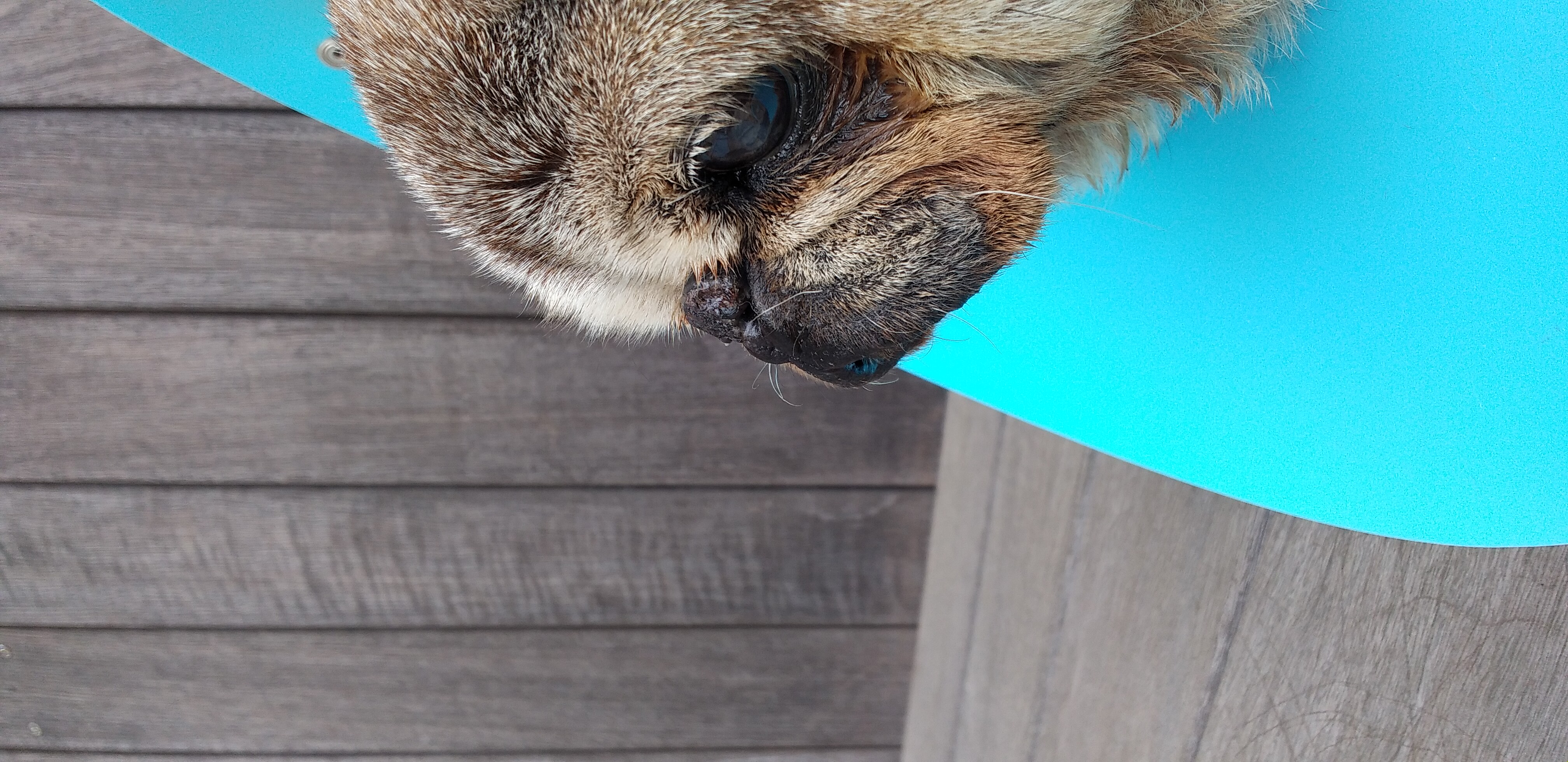 https://www.smile0136.com/blog_results/%E3%82%A8%E3%83%AA%E3%82%B6%E3%83%99%E3%82%B9.jpg