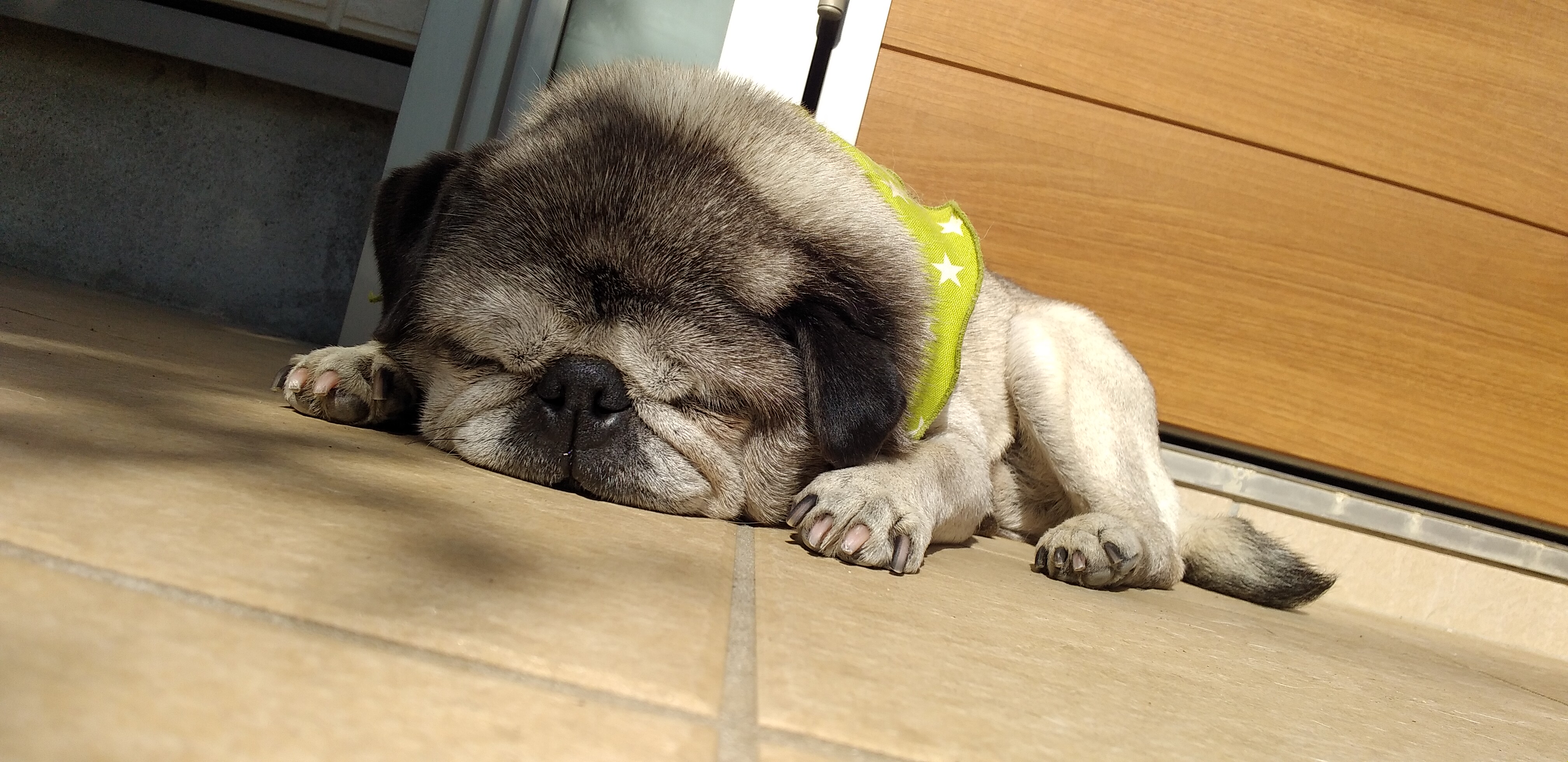 https://www.smile0136.com/blog_results/%E3%82%B9%E3%83%A2%E3%83%BC%E3%83%AB.jpg
