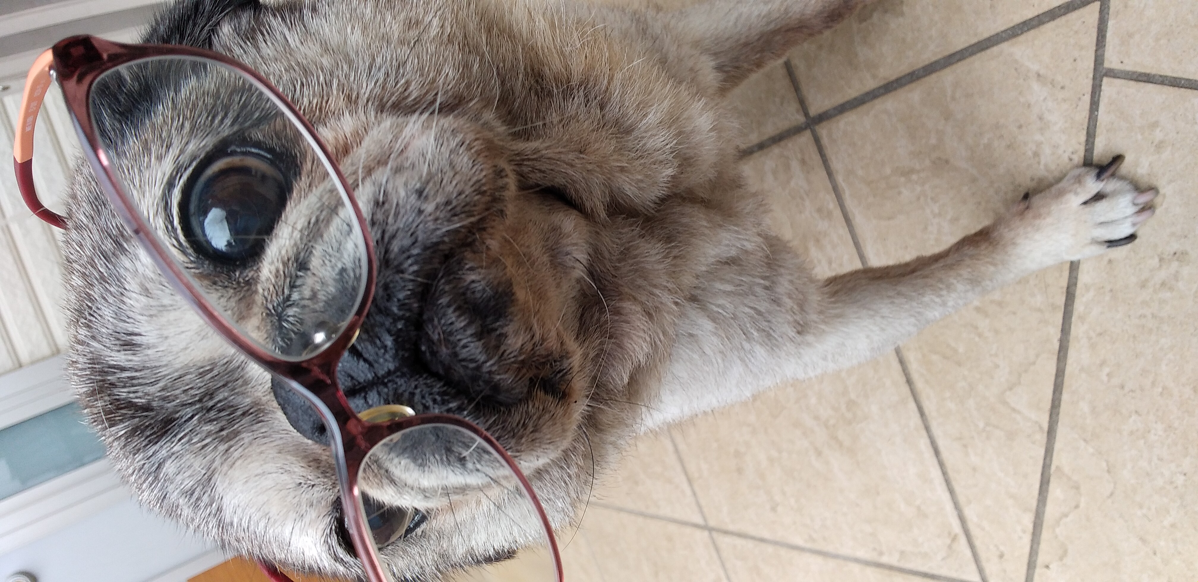 https://www.smile0136.com/blog_results/%E3%83%94%E3%83%B3%E3%82%AF%E3%83%A1%E3%82%AC%E3%83%8D%EF%BC%91.jpg