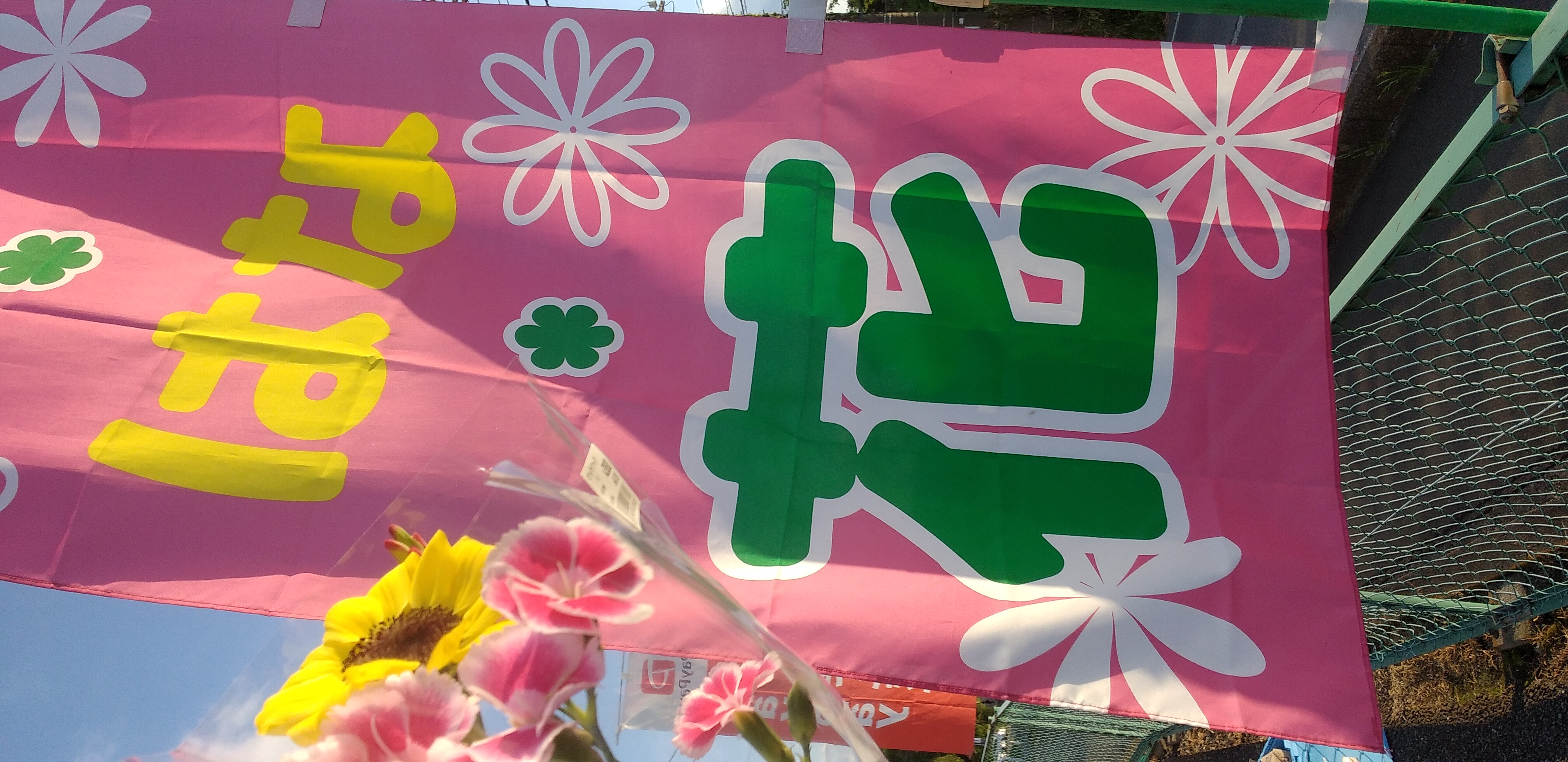 https://www.smile0136.com/blog_results/%E3%83%94%E3%83%B3%E3%82%AF%E6%97%97%E8%8A%B1.jpg