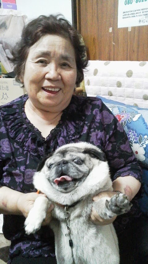 https://www.smile0136.com/blog_results/%E3%83%9B%E3%83%AF%E3%82%A4%E3%83%88%E5%A4%A7%E5%90%89.JPG