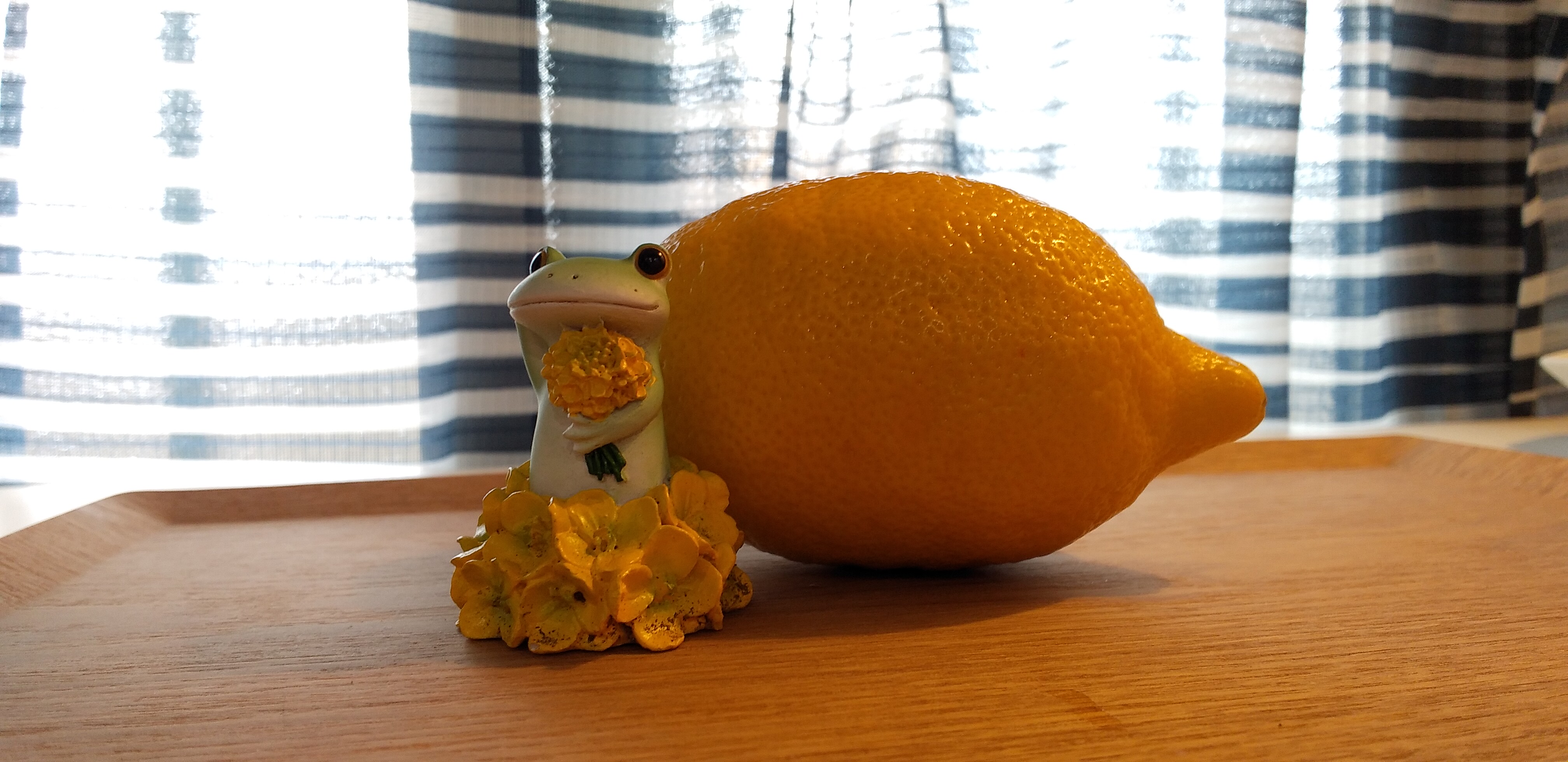https://www.smile0136.com/blog_results/%E3%83%9F%E3%83%89%E3%83%AA%E3%81%A1%E3%82%83%E3%82%93.jpg
