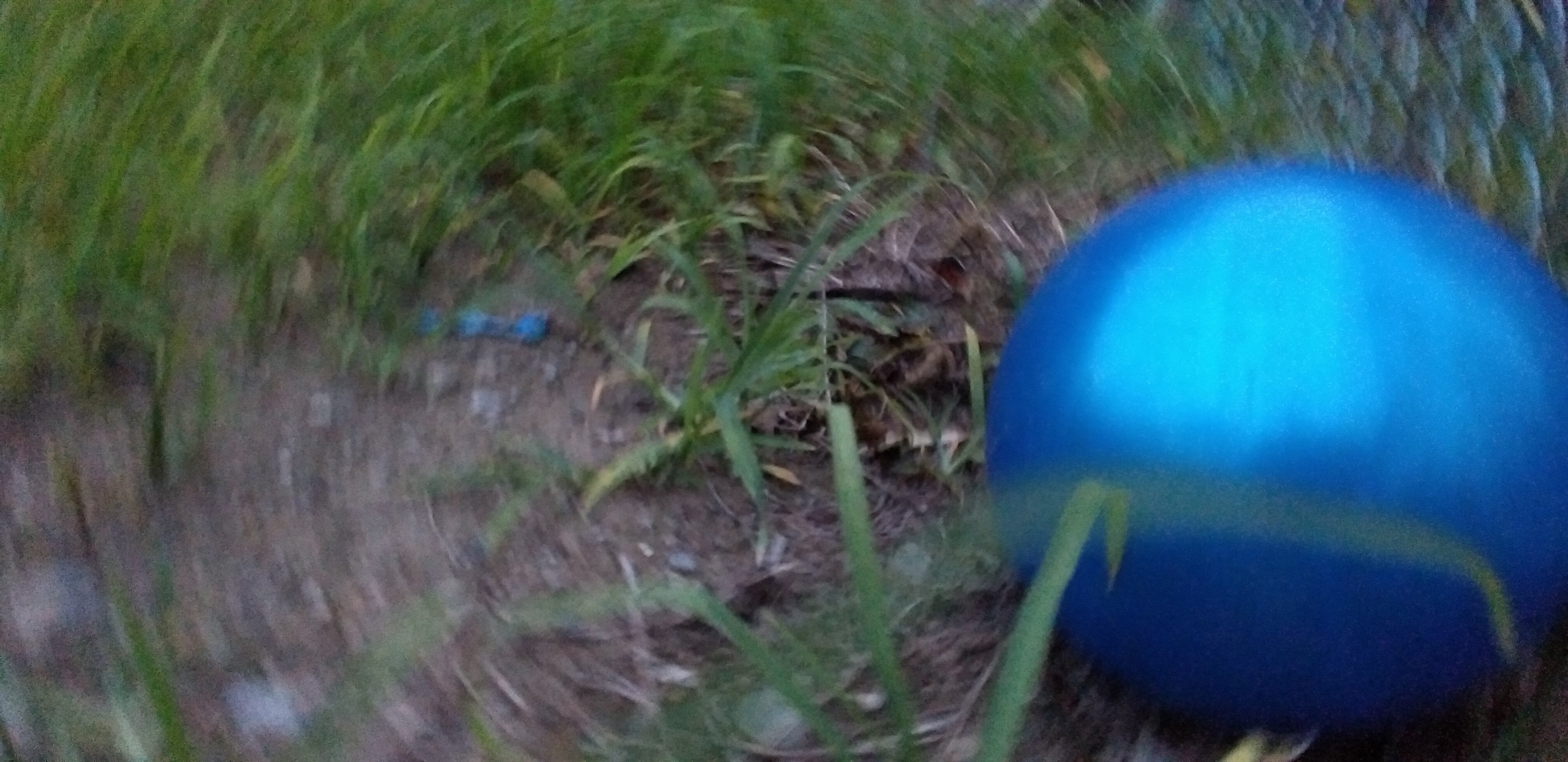 https://www.smile0136.com/blog_results/%E4%B8%B8%E3%81%84%E9%9D%92%E3%81%84%E3%82%B2%E3%82%AD.jpg