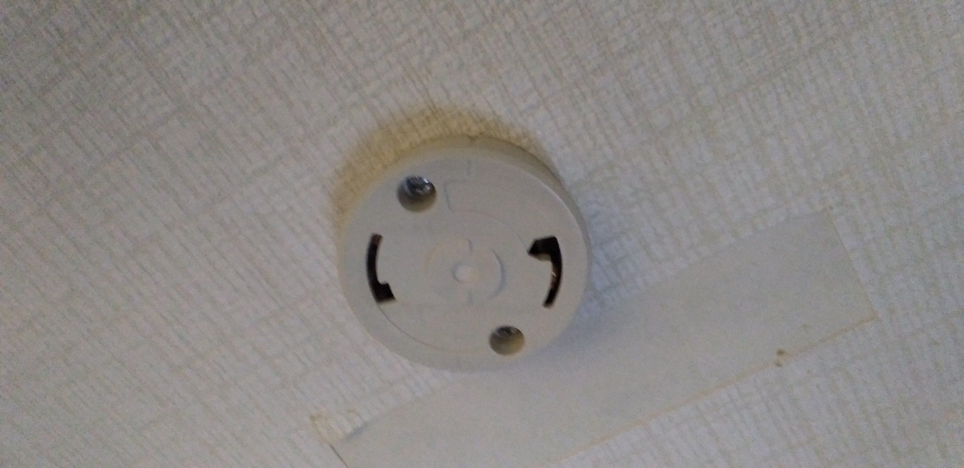 https://www.smile0136.com/blog_results/%E5%8F%B3%E3%81%BE%E3%82%8F%E3%81%97.jpg