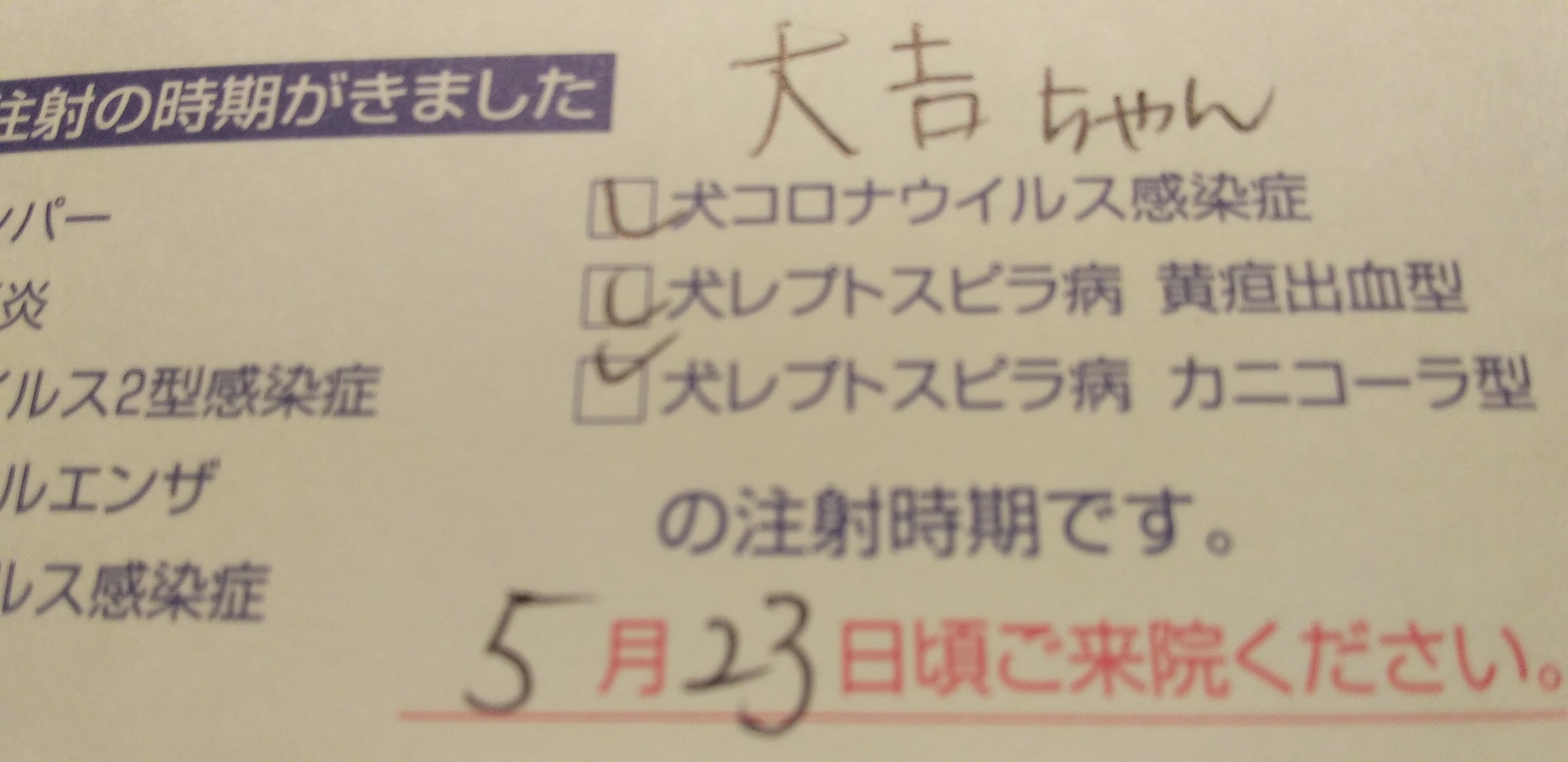 https://www.smile0136.com/blog_results/%E5%A4%A7%E5%90%89%E3%81%AF%E3%81%8C%E3%81%8D.jpg