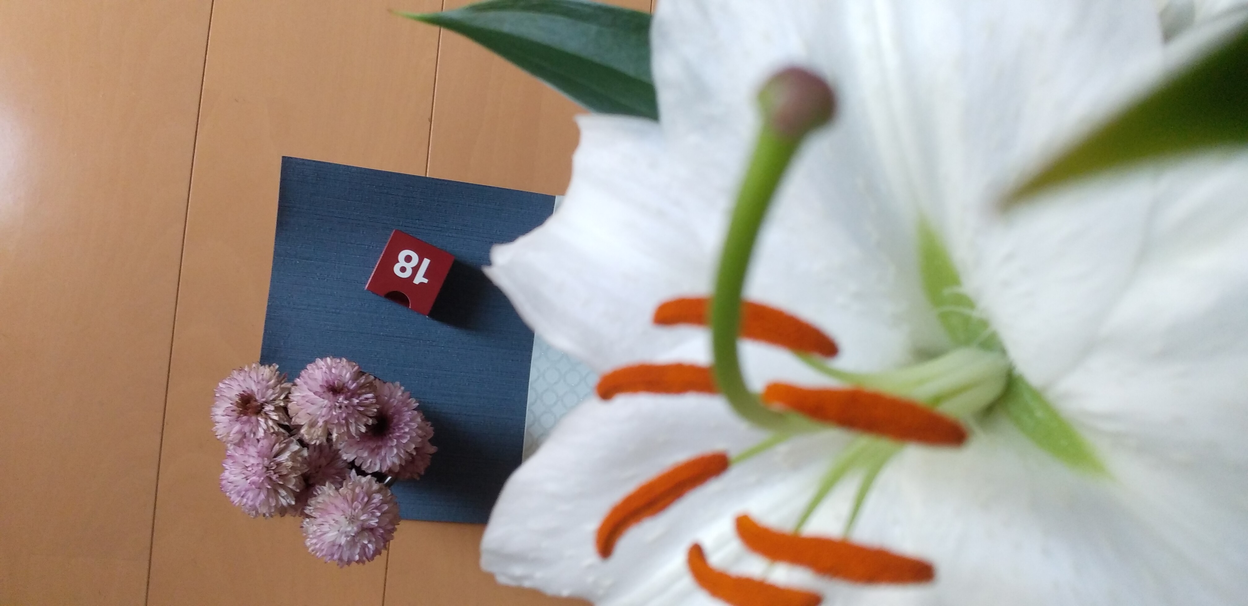 https://www.smile0136.com/blog_results/%E8%B5%A4%E3%81%84%E7%AE%B118%E6%97%A5.jpg