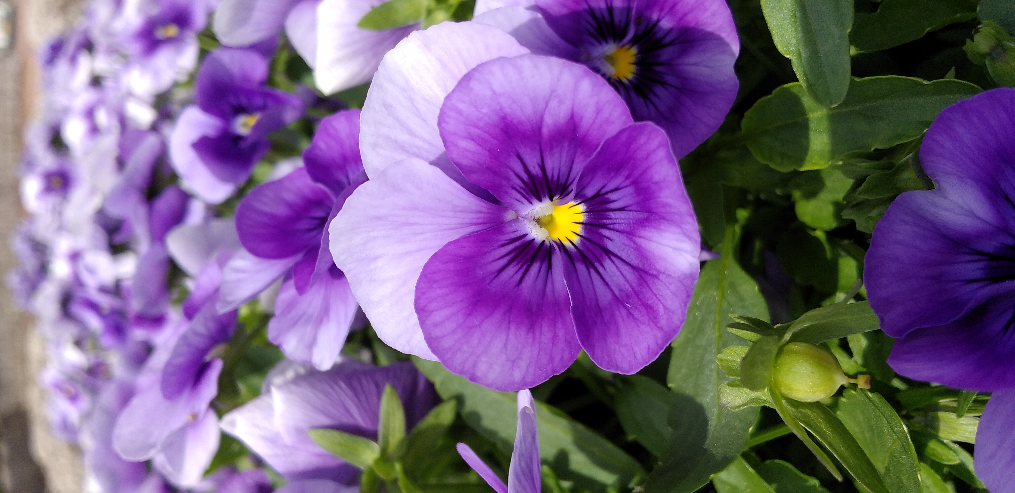https://www.smile0136.com/blog_results/20260521%E5%B0%8F%E6%BA%80%E3%81%A7%E3%81%99.jpg