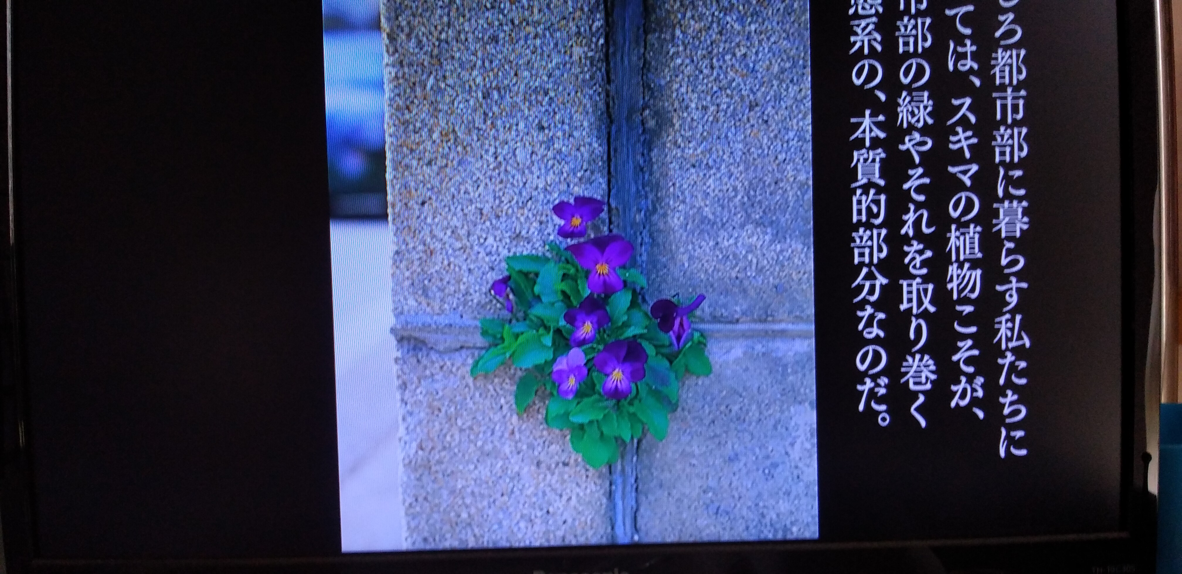 https://www.smile0136.com/blog_results/20260708%E7%9F%AD%E5%86%8A.jpg