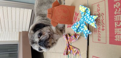 https://www.smile0136.com/blog_results/assets_c/2021/06/サイダー折り紙-thumb-400x194-26417.jpg