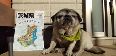 茨城県民.jpg