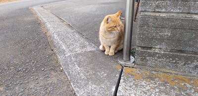 待ち伏せ.jpg