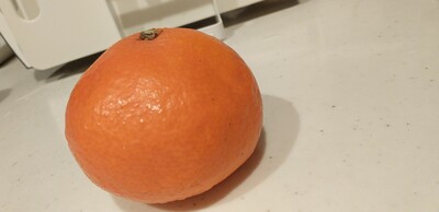 オレンジ.jpg