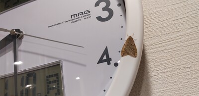 ガ16時.jpg