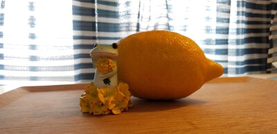 ミドリちゃん.jpg