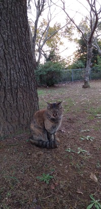公園.jpg