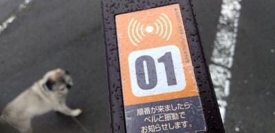 ベルポケ.jpg