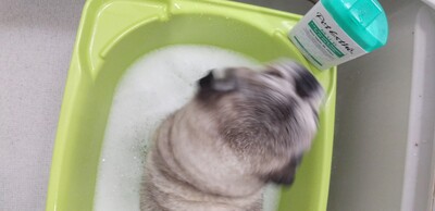 洗って.jpg