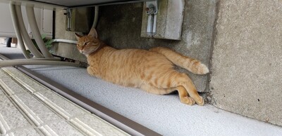 給湯ゴロ.jpg