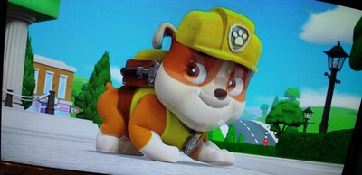 アップとパウ.jpg
