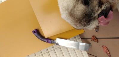 のこぎり.jpg