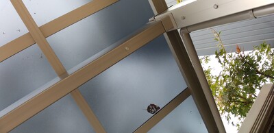 カー補助3.jpg