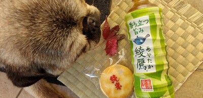 石島様タタミ.jpg