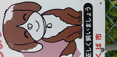 色付きかいいぬ.jpg