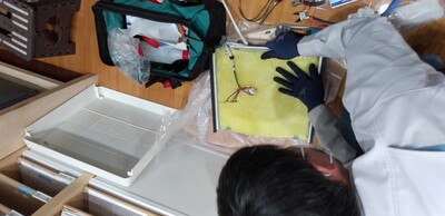 黄色のしきもの.jpg