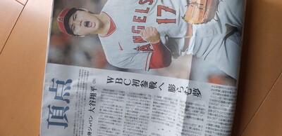 オオタニサン頂点.jpg