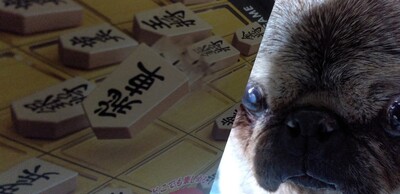 将棋六冠.jpg