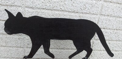猫ネコ黒いねこ.jpg