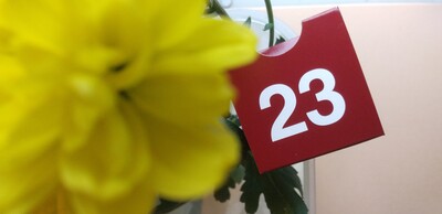 赤い23日.jpg