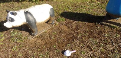 シャンシャンフライパンと.jpg