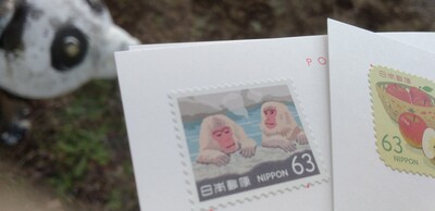 切手信州さるりんご.jpg