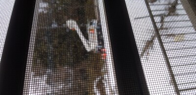電設茨城雪.jpg