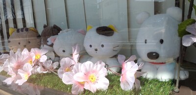 うちのタマフレンズ桜.jpg