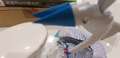 グロータイプの.jpg