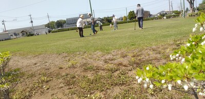 門球ドウダンツツジ.jpg