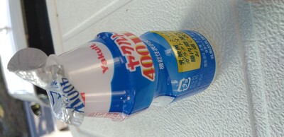 ヤクルト400.jpg