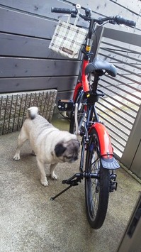 赤い自転車と.JPG